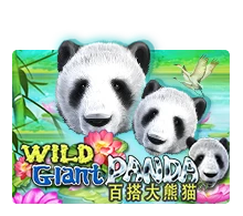 Joker123 : Wild Giant Panda - QUEENBET138