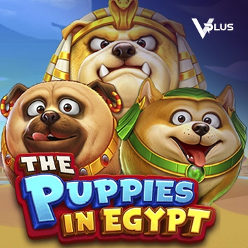 Vplus : The Puppies In Egypt - QUEENBET138