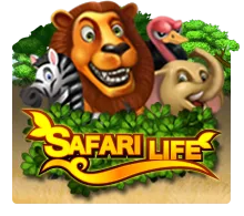 Joker123 : Safari Life - QUEENBET138