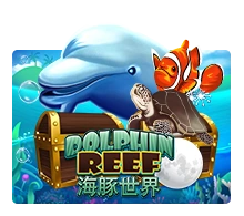 Joker123 : Dolphin Reef - QUEENBET138